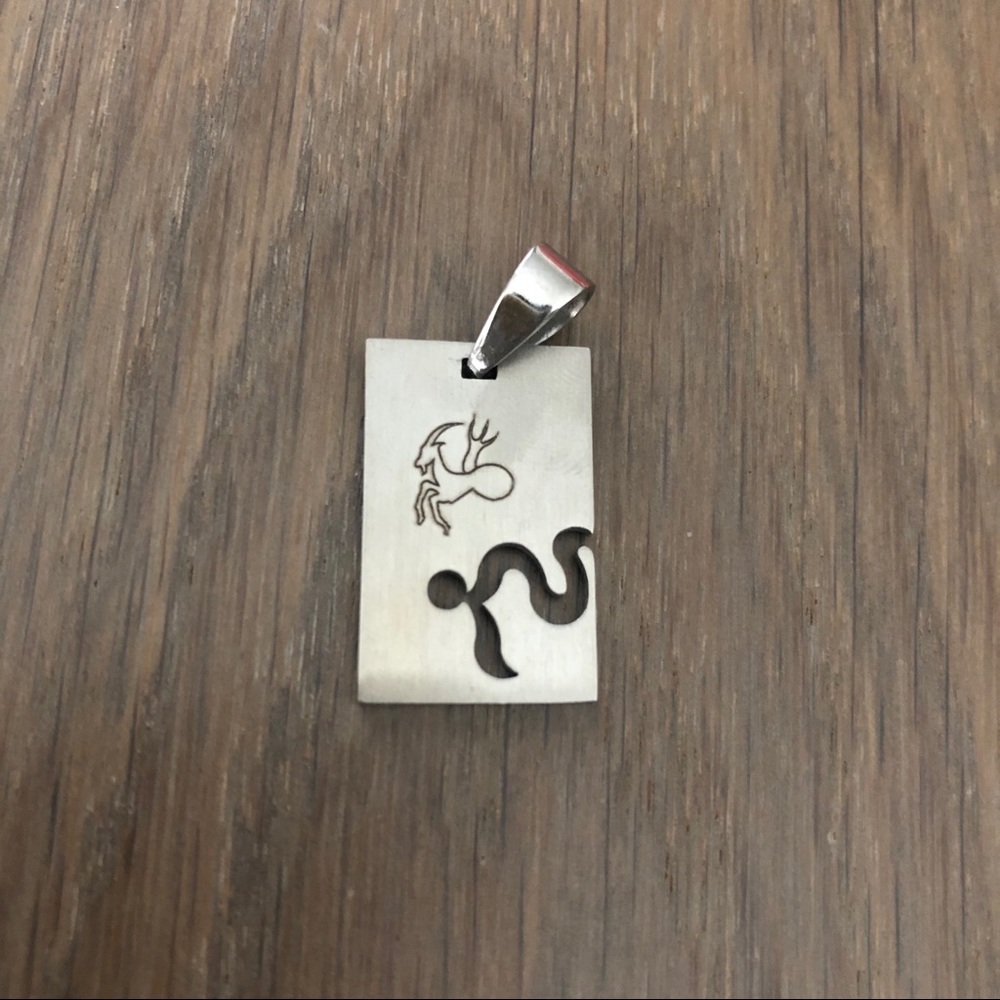 NEW NWOT Capricorn zodiac stainless steel pendant CLASSY CHIC UNIQUE gift
